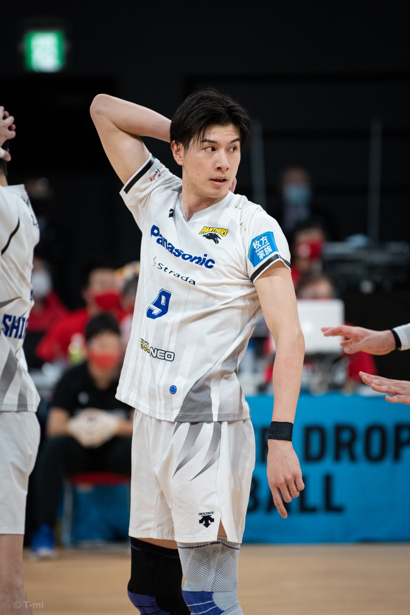 パナソニックパンサーズ 今村選手 着用ポロシャツ