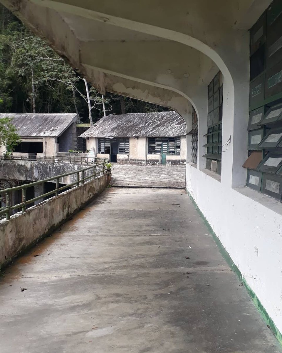 fundacionazul's tweet photo. La Fundación #AzulAmbientalistas y el equipo de #AraguaEcotrekk visitaron las instalaciones de la Estación Biológica U.C.V "Dr. Alberto Fernández Yépez" en #RanchoGrande, Parque Nacional #HenriPittier 🏞️

Mira más aquí 👉 https://t.co/pszkl1v7DY https://t.co/VZClD5bF9Q