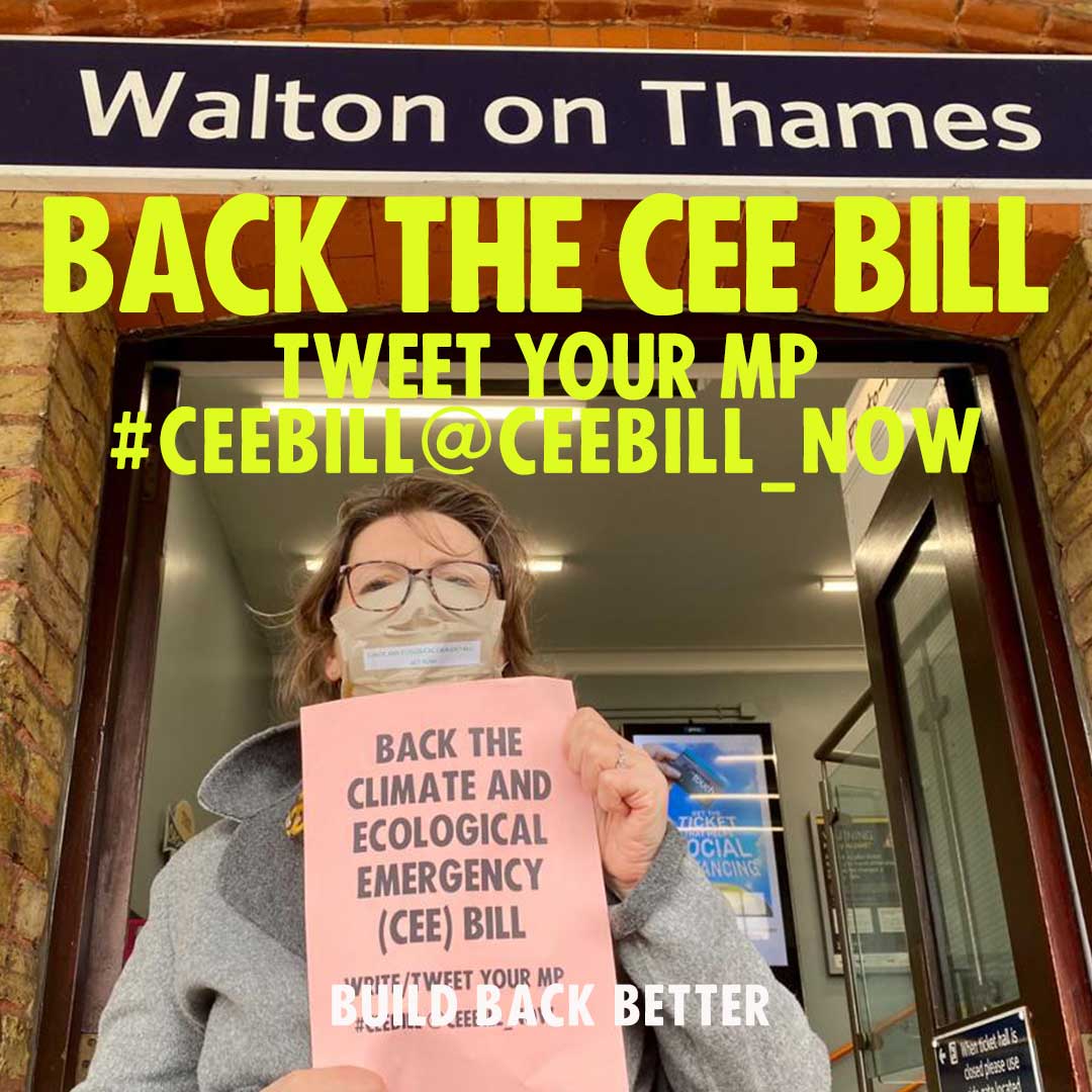 XRElmbridge's tweet photo. #CEEbill Our members were out today as part of the UK day of action to support @CEEbill_NOW 
@DominicRaab we need you to support it too! https://t.co/YEF5KmO7zx