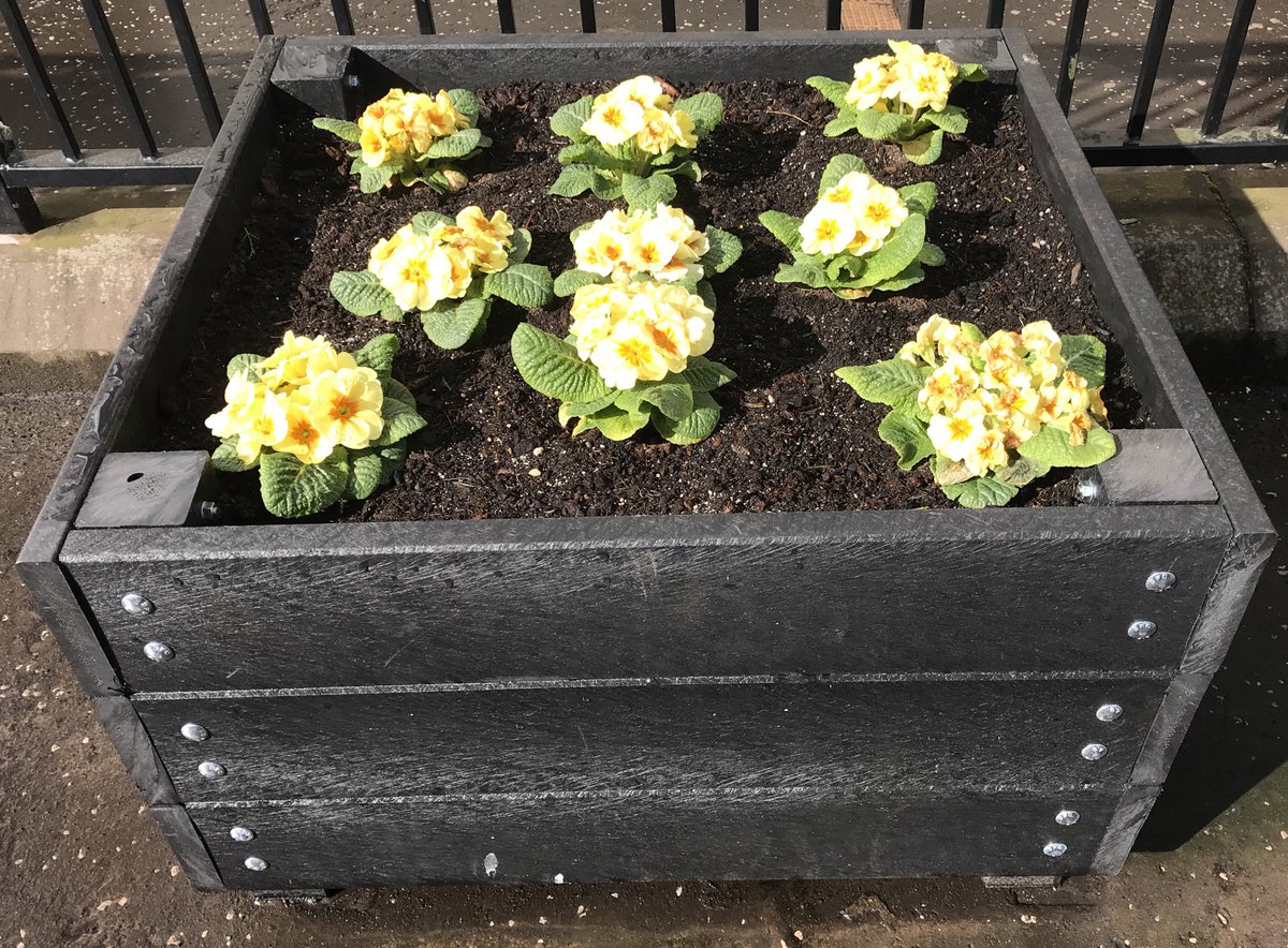 MrsHGeo's tweet photo. Lovely to see the new planters made by @QvsTechnology filled with spring flowers. Bringing some colour to the town 😀 #community #dunblaneinbloom https://t.co/3vsKkOOtsy