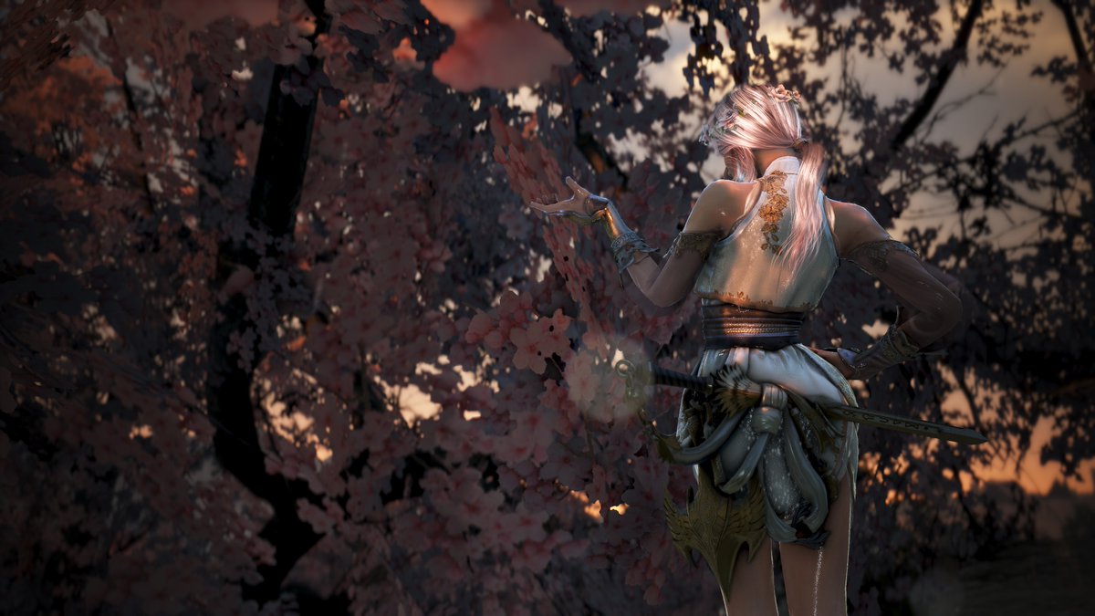 Lia_Liatana's tweet photo. New cherry blossom screenshots are here! I got fotobombed on the first one 🐦🙈 #BlackDesertOnline #bdospring #bdocherryblossom #bdoremastered #bdoLahn https://t.co/PhAKw6aGuD