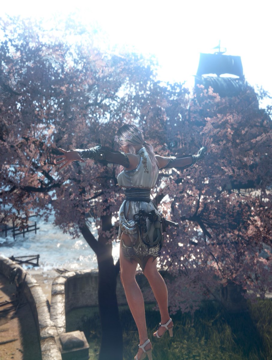 Lia_Liatana's tweet photo. New cherry blossom screenshots are here! I got fotobombed on the first one 🐦🙈 #BlackDesertOnline #bdospring #bdocherryblossom #bdoremastered #bdoLahn https://t.co/PhAKw6aGuD