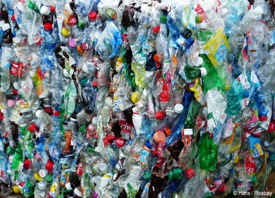 MLUK Brandenburg (@mlukbrandenburg) on Twitter photo Was passiert mit dem #Plastik|müll? 🚮
Noch wird zu viel verbrannt & zu wenig recyclet. Das soll sich ändern! Arbeitsgruppe #RESAG der #UMK (auf #Brandenburg|er Initiative eingesetzt) startet Fahrplan
<a href="/Vogel_Axel/">Axel Vogel</a>: Wir brauchen echte #Kreislaufwirtschaft
bit.ly/3tZUlMC Was passiert mit dem #Plastik|müll? 🚮
Noch wird zu viel verbrannt & zu wenig recyclet. Das soll sich ändern! Arbeitsgruppe #RESAG der #UMK (auf #Brandenburg|er Initiative eingesetzt) startet Fahrplan
<a href="/Vogel_Axel/">Axel Vogel</a>: Wir brauchen echte #Kreislaufwirtschaft
bit.ly/3tZUlMC