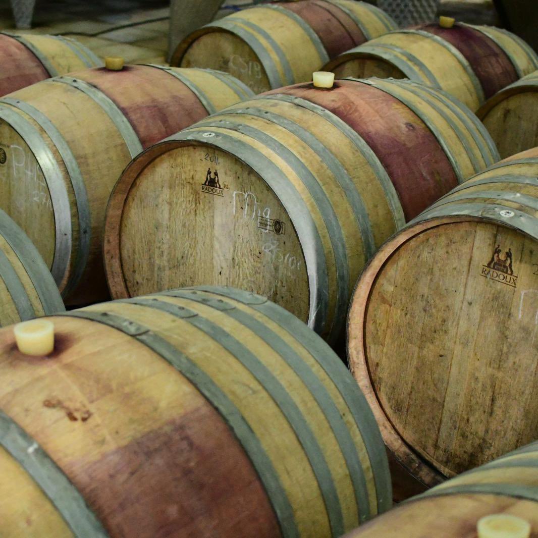 Uyuyan güzeller❤️

Sipariş için: 
siparis@yanikulke.com
0236 847 21 21
0555 004 55 45

#yanıkülke #yanıkülkebağları #villaestet #keşfet #lezzet #lokantaestet #manisa #kula #bağ #aşk #içegebağrotası #şarap #wine #winelover #şarapkeyfi #şarapsever #kalite