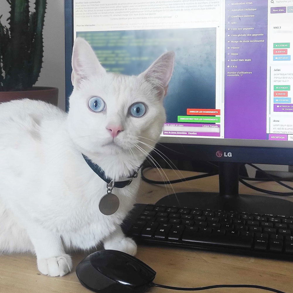 [TELETRAVAIL] Le télétravail, c’est aussi cohabiter avec de nouveaux collègues (parfois un peu envahissants) au quotidien 😻

Et vous ça se passe comment le télétravail ?

#catday #teletravail #stagiaire