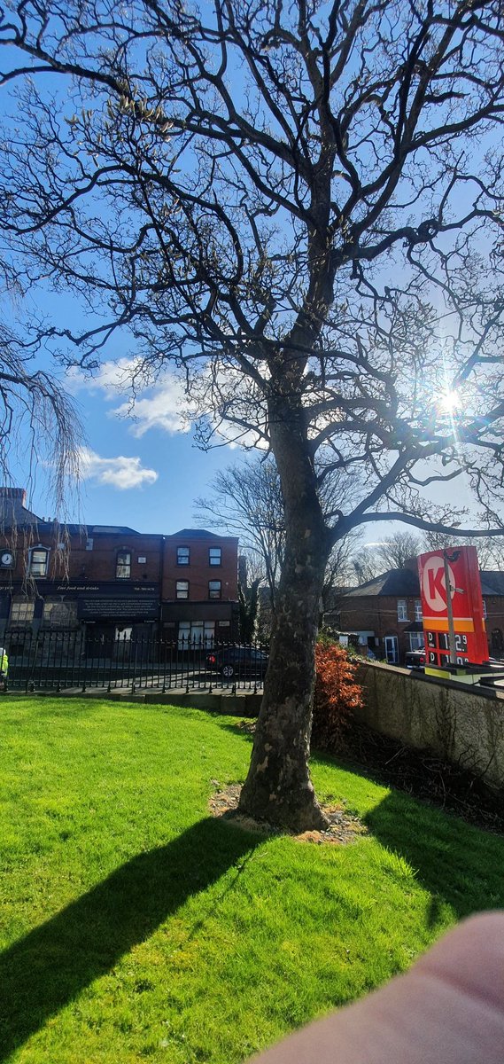 KilmainhamOPW's tweet image. One of many benefits of now having the former Kilmainham Courthouse as part of Kilmainham Gaol Museum are these lovely trees #NationalTreeWeek #NationalTreeWeek2021