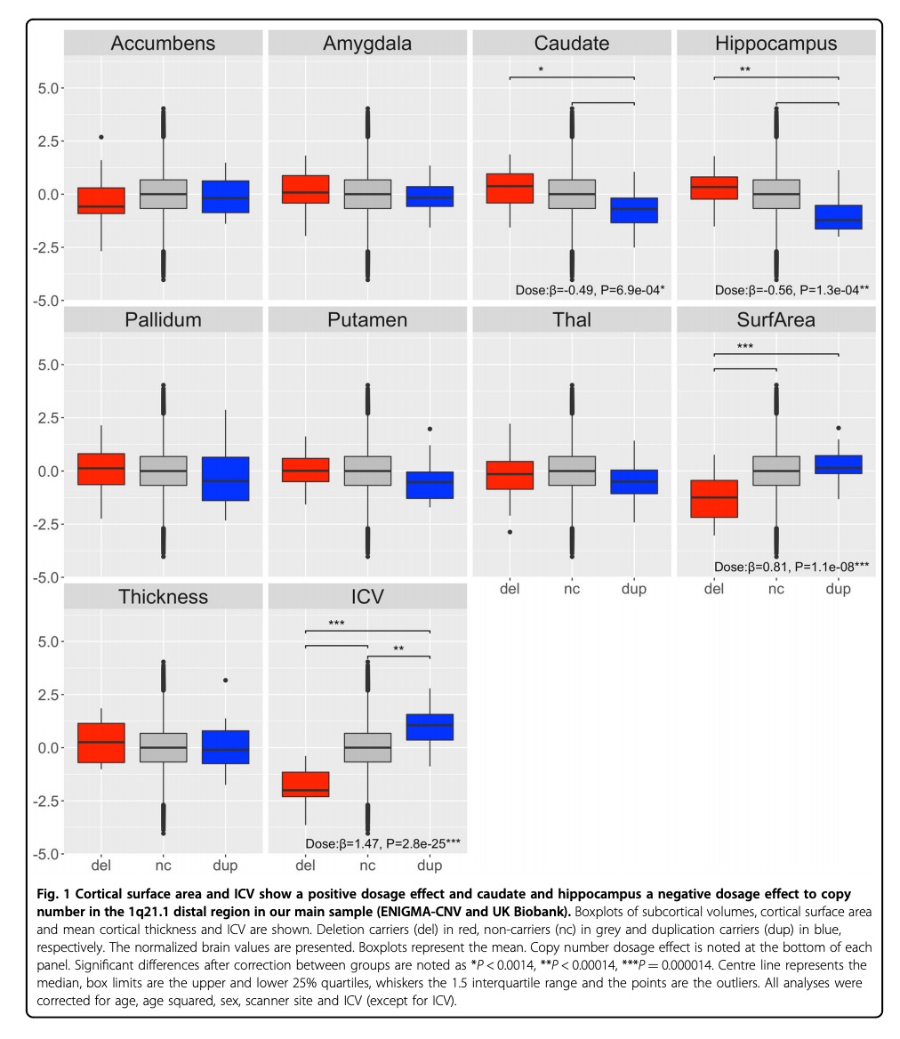 KGJ_ND's tweet photo. New work led by @ISoenderby: 1q21.1 distal copy number variants are associated with cerebral and cognitive alterations in humans https://t.co/vwZ8yjbVQ9 #OpenAccess https://t.co/WPqVwPqupW