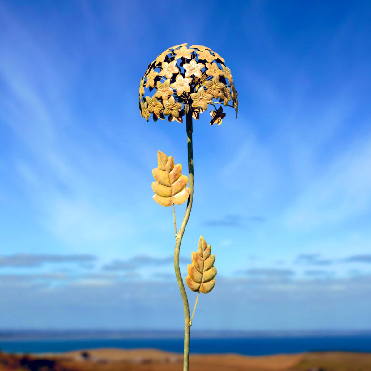 Happy Friday everyone...wishing you all a fun weekend...