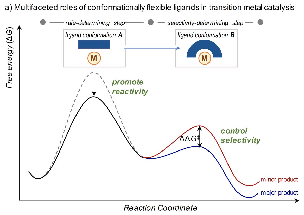 pengliu_group's tweet photo. check out our latest @J_A_C_S paper with @GroupTakacs on how conformationally flexible TADDOL ligands promote challenging bond formations in catalytic alkene hydroboration. Congrats @HuilingShao @purfectcatalyst 🎉 🎉https://t.co/uuvcWI5hxO https://t.co/loOuQk9cop