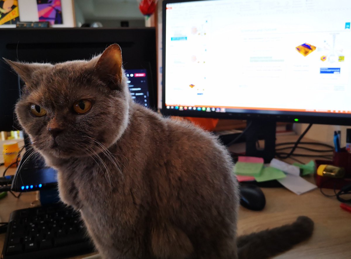 ScienTwins's tweet photo. Twin 1: Successfully presented my data today at our weekly Friday seminar. With help of Lt. B'Elanna of course. Now I am ready for the weekend. 

#ScienceTwitter #ToFSIMS #BoneResearch #FridayMotivation https://t.co/2FAi4HbSuO