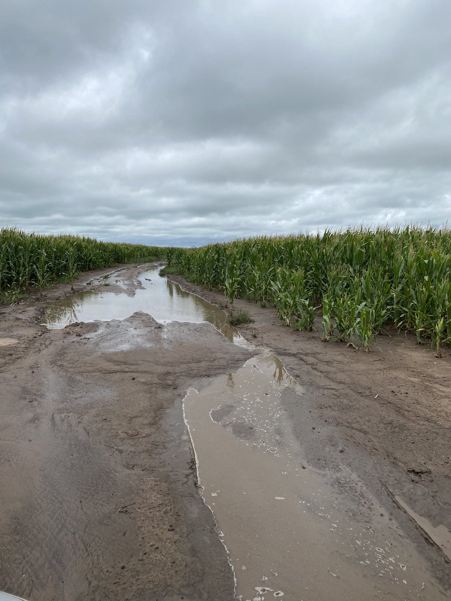 ElbiCortezFunes's tweet photo. En el campo argentino se necesitan las pick up 4x4 p/ poder salir del campo p/ ir al médico, hospital, almacén y carnicero! Sin ella no se puede salir del x 15 día! El odio, la envidia, la vagancia no les permite pensar Para vagos narcoskorruptos kirchneristas es un lujo https://t.co/bERRYX7ddi