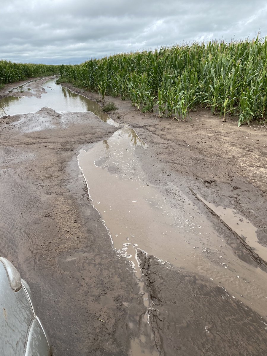 ElbiCortezFunes's tweet photo. En el campo argentino se necesitan las pick up 4x4 p/ poder salir del campo p/ ir al médico, hospital, almacén y carnicero! Sin ella no se puede salir del x 15 día! El odio, la envidia, la vagancia no les permite pensar Para vagos narcoskorruptos kirchneristas es un lujo https://t.co/bERRYX7ddi