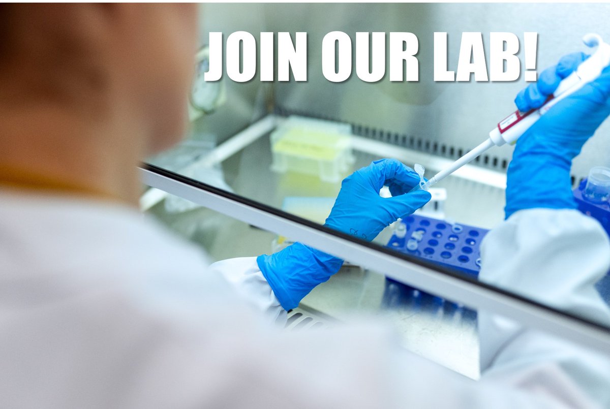 Institute of CVR (@instcardreg_ffm) on Twitter photo Become part of the ICR! We are hiring a PhD student starting 01 May 2021. Find more information on our website: cardiovascular-regeneration.com/jobs/ #hiring #jobs #sciencejobs #PhD #Frankfurt Become part of the ICR! We are hiring a PhD student starting 01 May 2021. Find more information on our website: cardiovascular-regeneration.com/jobs/ #hiring #jobs #sciencejobs #PhD #Frankfurt
