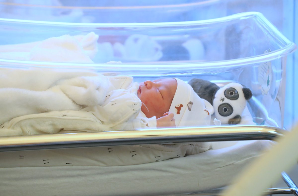 👨‍👩‍👧 735.000, c'est le nombre de bébés nés en 2020 en France, le chiffre annuel le plus bas depuis la Seconde Guerre mondiale 

📉 L'épidémie de coronavirus a un "fort impact" sur le nombre de naissances en France, explique l'Insee ici 👉francebleu.fr/infos/societe/…