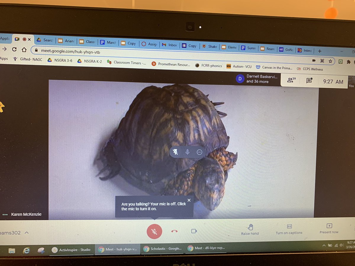 NeboMara's tweet photo. So excited to hang out with these critters this morning! Thanks to the Science Museum of Virginia for this great virtual field trip!  We loved seeing how animas use adaptations in real life! @TheBondsBunch  @ReamsElemAP @jodi_seitz @ScienceMusofVA #oneCCPS https://t.co/2mcbwjSGG4