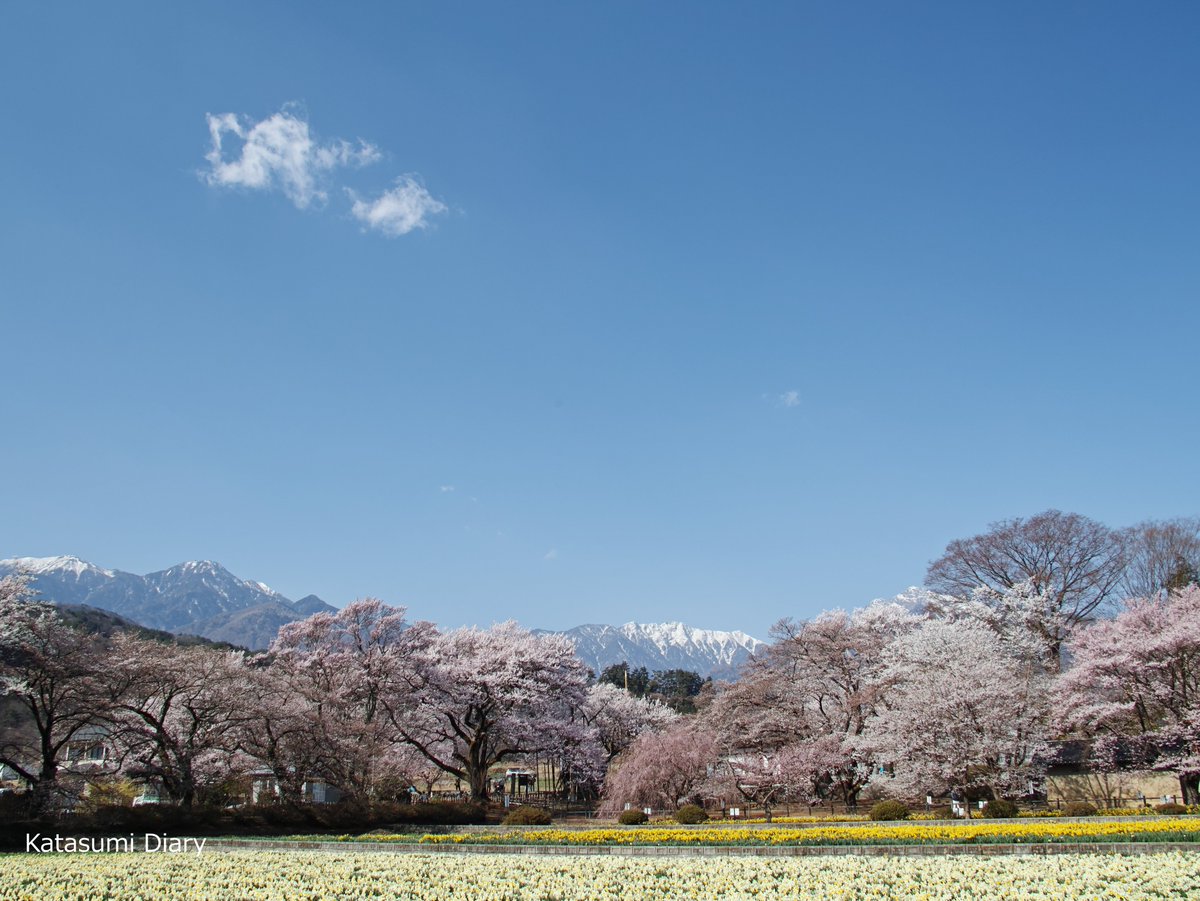 大法師公園 大法師公園