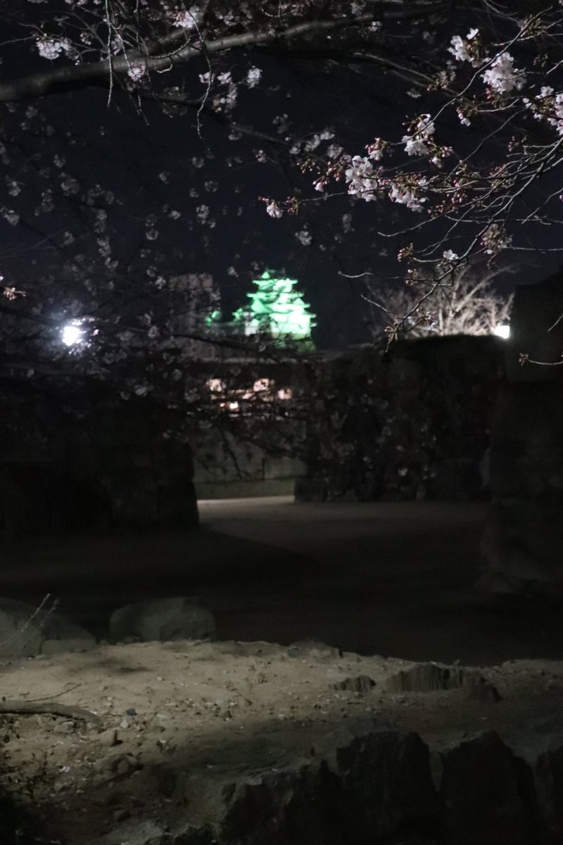 姫路文学館 今夜の姫路城は シトラスグリーンにライトアップされていますよ コロナ禍における差別 誹謗中傷を無くすために始まった シトラスグリーンプロジェクト の一環だそうです 文学館近くのお気に入りの路地と 船場川沿いから桜越しに撮ってみ