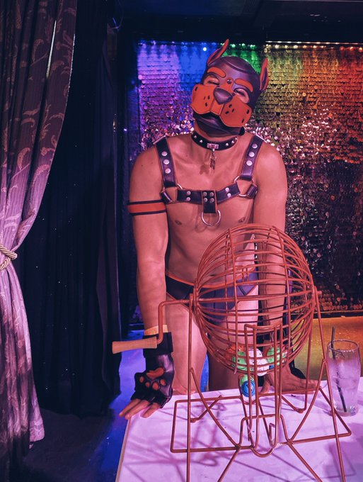 Bingo stole my baby ?? #bdsm #kink #fetish #puppyplay #petplay https://t.co/d43gGZl0Ey