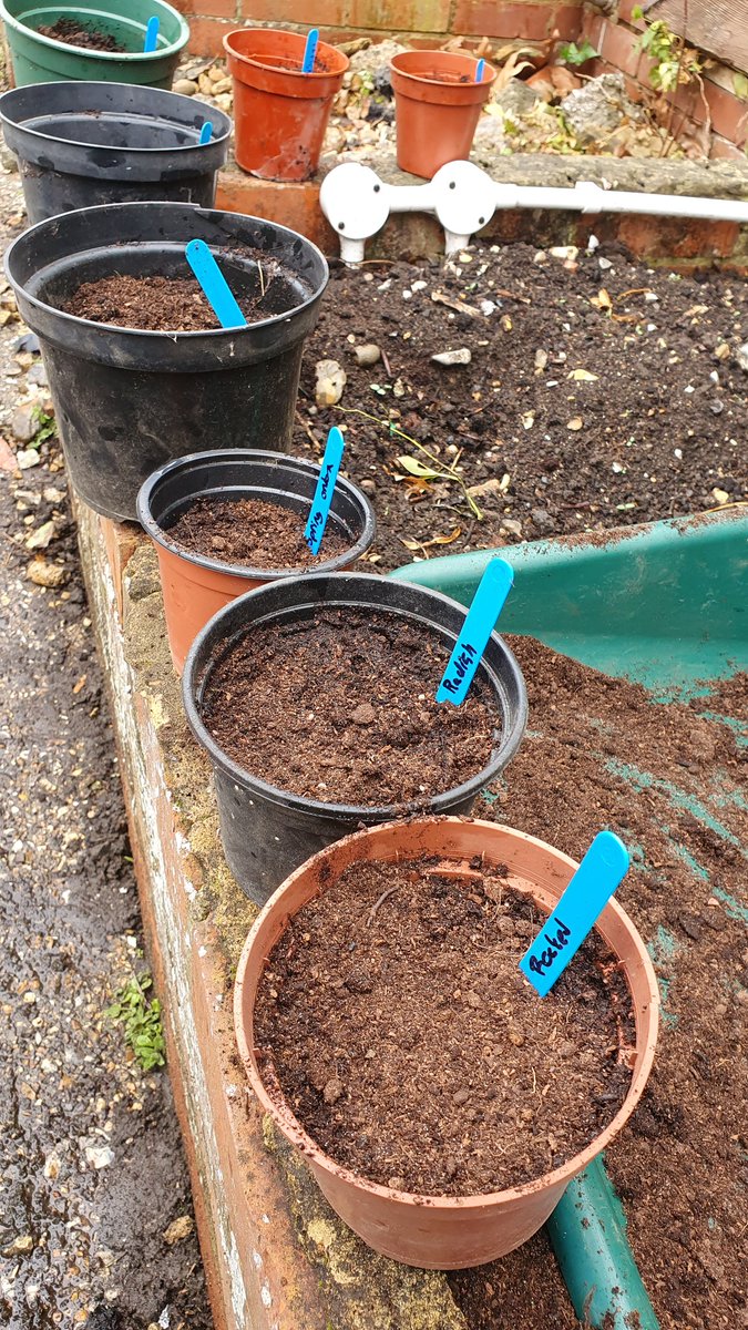 HighdownDT's tweet photo. The year 10 food group have been in the walled garden this afternoon planting seeds. They will be cooking with their produce next term #foodprovenance #greenfingers #year10 https://t.co/ZFfpu243dc