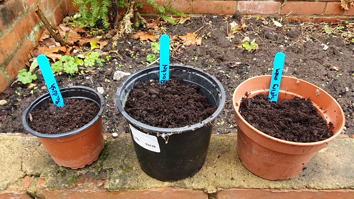 HighdownDT's tweet photo. The year 10 food group have been in the walled garden this afternoon planting seeds. They will be cooking with their produce next term #foodprovenance #greenfingers #year10 https://t.co/ZFfpu243dc