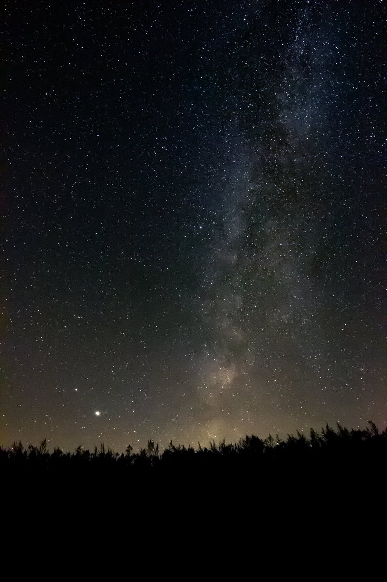 mikefriend. tweet media