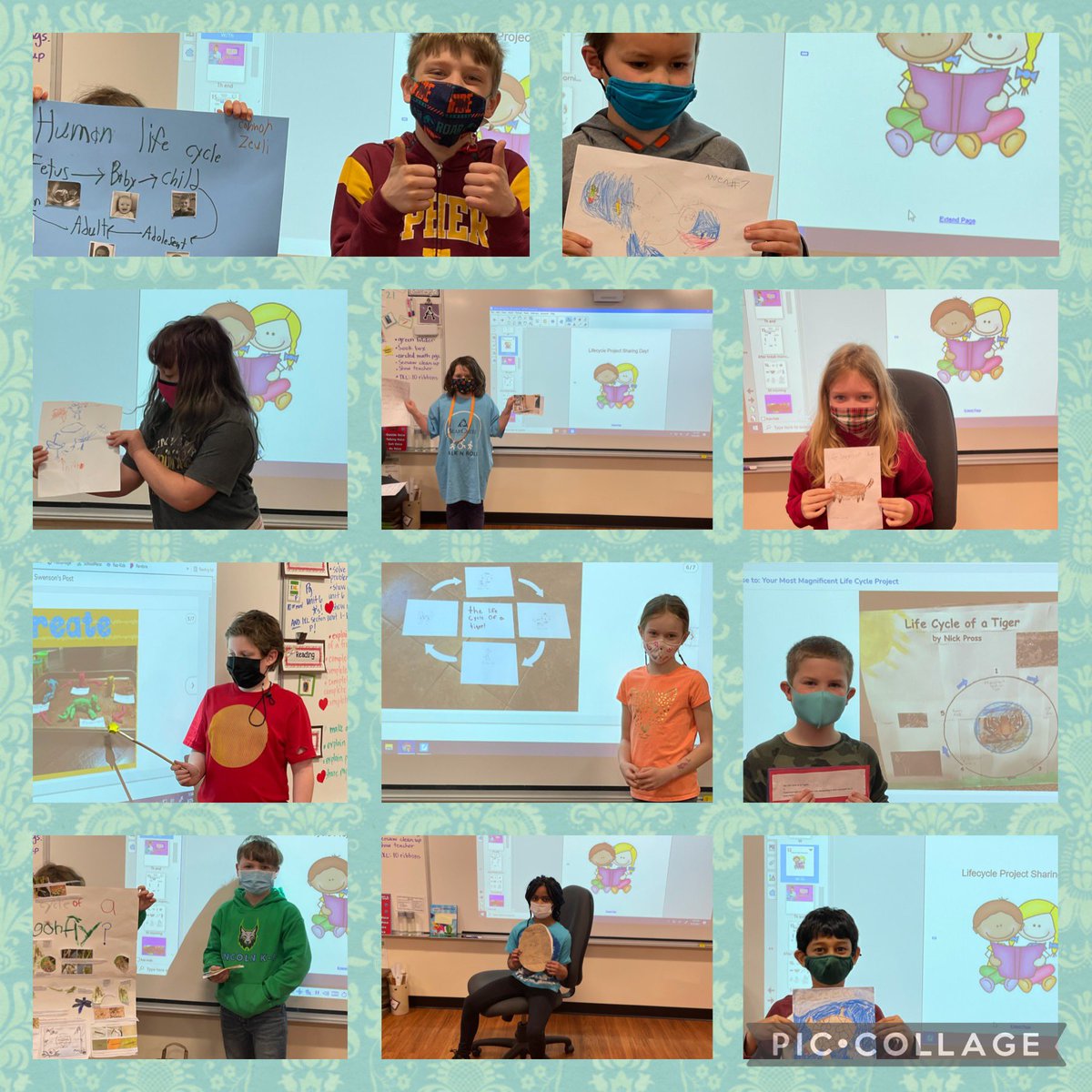 msginelles2nd's tweet photo. Life cycle extension projects! SO many creative ideas shared with the class! Posters, books, playdo models, presentation cards and more! I can see the pride and learning while they build speaking skills!! #passionlearning https://t.co/9Pn9TT0Wys
