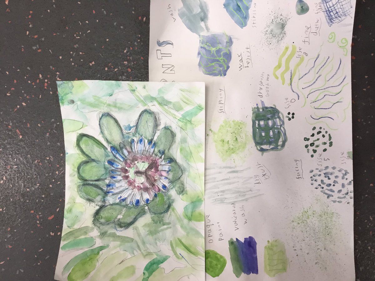 MrsAeddy's tweet photo. 7TG have enjoyed the opportunity to use the paints (in a carpeted room 😳) to experiment and explore how best to create their flower outcome @WoodbrookVale https://t.co/MPqIEoANO5