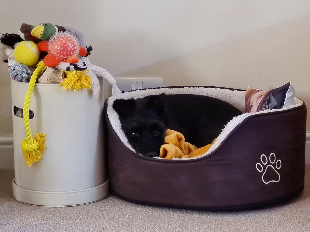 Joanne Upton tweet media