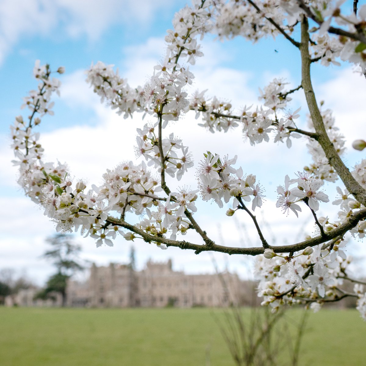 Hampton Court Castle tweet media
