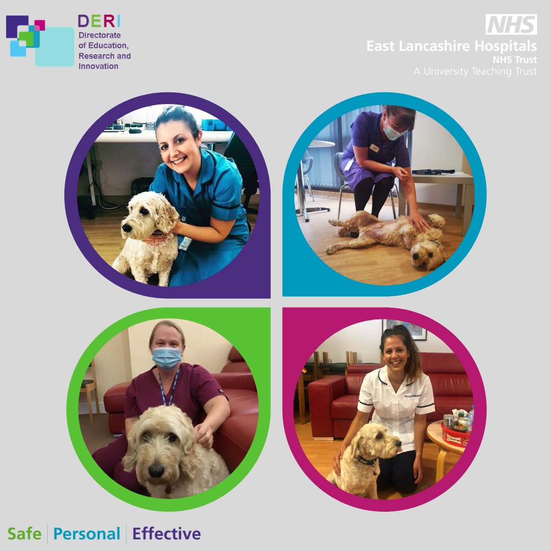 ELHT_DERI's tweet photo. #Support available with #Jasper🐾:
💚#Lunch with Jasper - #Brews are provided and there is a microwave for heating your own food
💛Support sessions with Jasper - A chance to have some support as a #team (across all sites)
💙1:1 #Counselling sessions with Jasper - based at #RBTH https://t.co/iJMVsk8RoP
