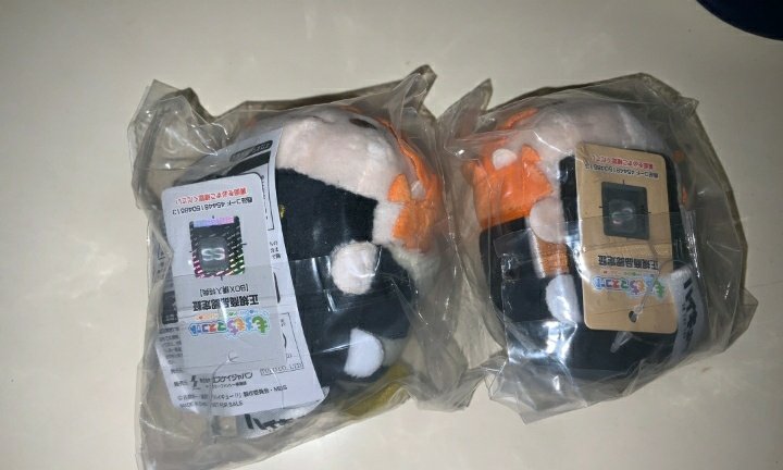 Puga_Shop🐶 tweet media