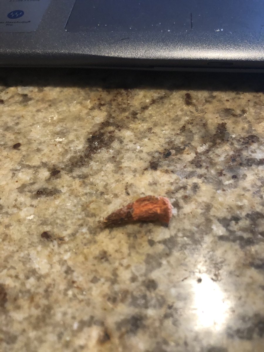 Anne Buchanan tweet media