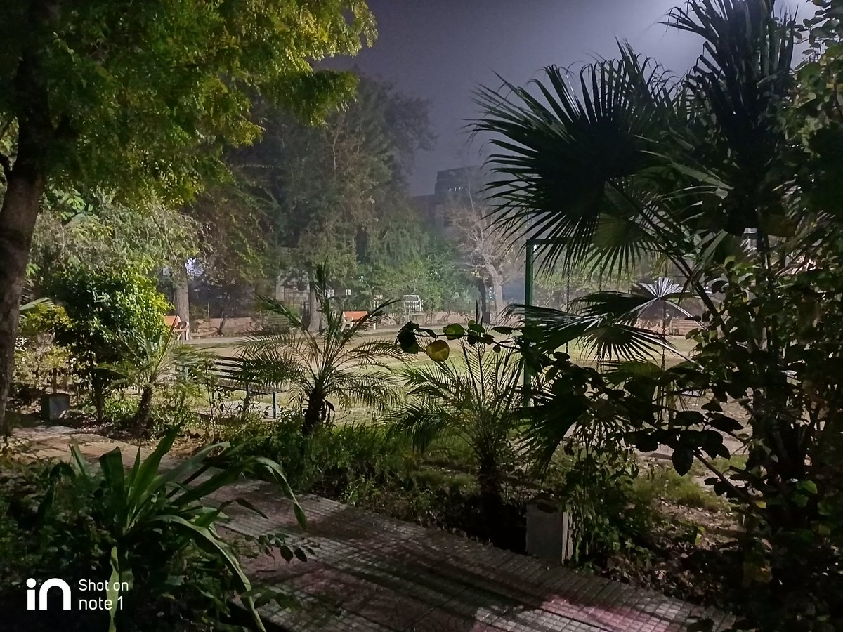 DeepakSiger's tweet image. #INNote1 #ClickINCrew #MicromaxIsBack #naturephotograpahy @Micromax__India