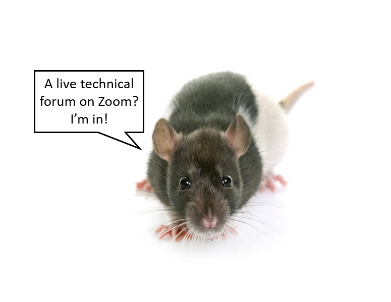 TouchScreenCog's tweet photo. Did you know we will have a #TechnicalForum at the #TSSymposium2021 with four parallel topics?  

@dr_danielpalmer and @yaghoubi_mh will be co-hosting  &amp; co-facilitating a session on data analysis.  

Get excited to discuss, ask and answer questions!

https://t.co/WoxrJ6TRTg https://t.co/wznM5f5ach