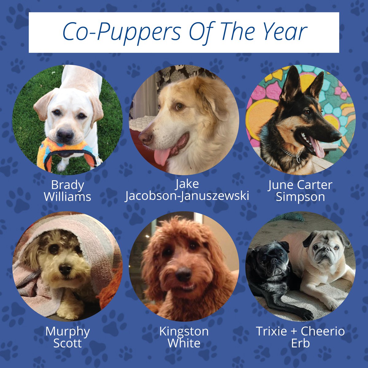 ColliersCbus's tweet photo. We heard it was #NationalPuppyDay on Tuesday and we knew we couldn't get through the week without sharing our Columbus co-puppers of the year 🐶🐾 https://t.co/hnAH3U3wqX