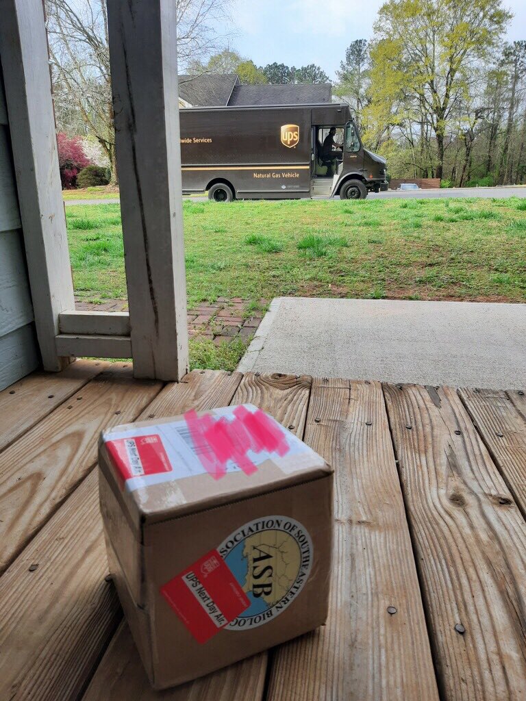 It’s happening! The gavel has arrived!