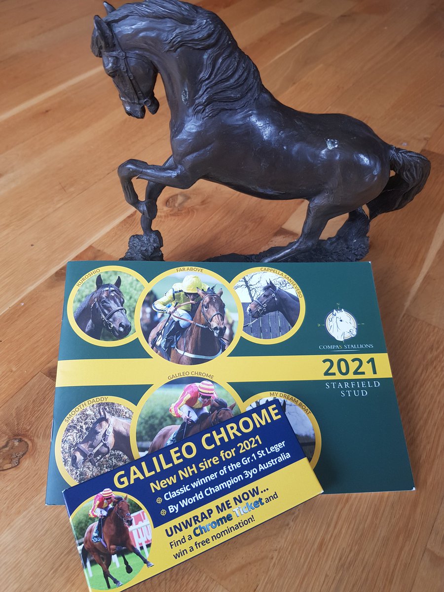 elleWhcim's tweet photo. Will we find the lucky ticket?? Thanks @CompasStallions 🤞🏇 https://t.co/u8IZWino6C