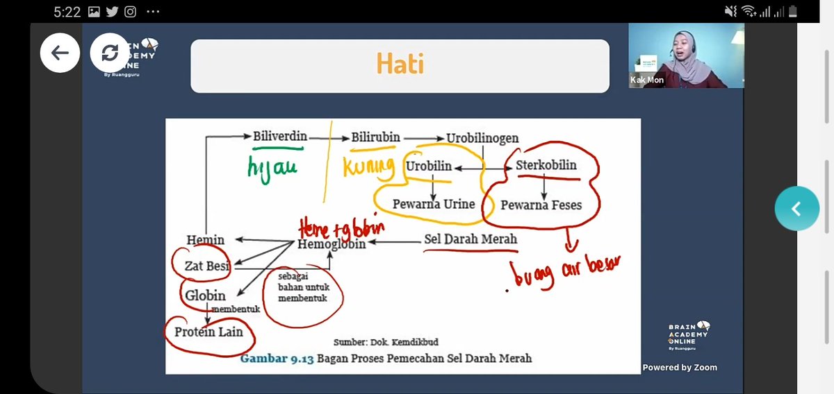 melodtdy's tweet photo. #ccmiestryprogress 210326, hari ini 96% biologiii @.@ aku tadi kebetulan lagi sekolah tatap muka, materi sistem pernapasan. sorenya ikut kelas ekskresi, lanjut latihan soal dikit sama ngerangkum apa yang aku pelajarin. it's time to take a break~ >< https://t.co/69IKoRA5xE