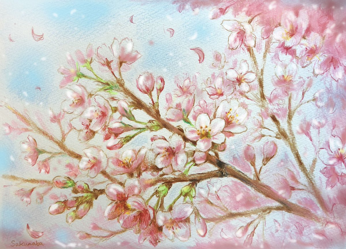 Sakuraba 7 18 11 00 00 画家の小道 みんなで咲かせるsns桜まつり 以前描いた桜です さくら 色鉛筆 イラスト Sakuraba 7 18 11 00 00 画家の小道 みんなで咲かせるsns桜まつり 以前描いた桜です さくら 色鉛筆 イラスト