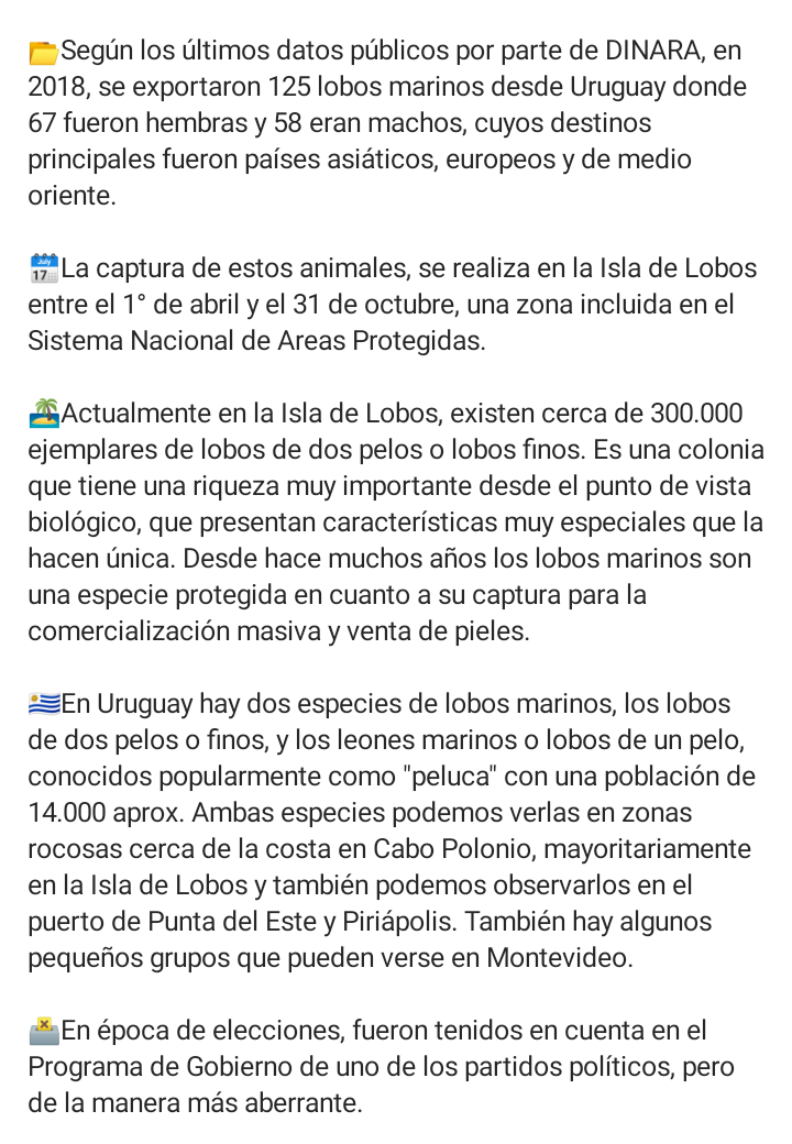 VidaMarinaUY's tweet photo. 🌅 Desde hace años, ONGs plantean que los lobos marinos en Uruguay dejen de capturarse en Isla de Lobos.
🙏🏼Ojalá la Pandemia sirva para que el Estado no siga exportando entre 120 y 150 lobos marinos vivos de la variedad finos o de dos pelos (Arctocephalus australis), por año. https://t.co/UISrYt8SAM