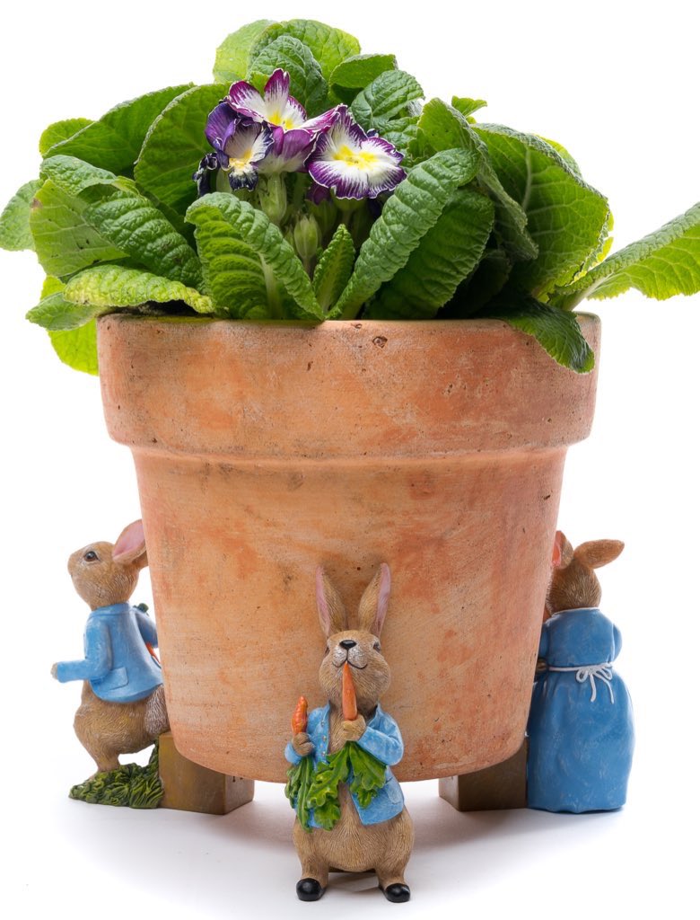 CaneCompanions's tweet photo. Just over a week to Easter 🐣, are you looking for something a little different this year? Take a look at our gorgeous range of Beatrix Potter gifts. #benjaminbunny #peterrabbit #eastergifts #beatrixpotter #canecompanions #potbuddies #pottyfeet #eastergifts https://t.co/v61z2iWcT0