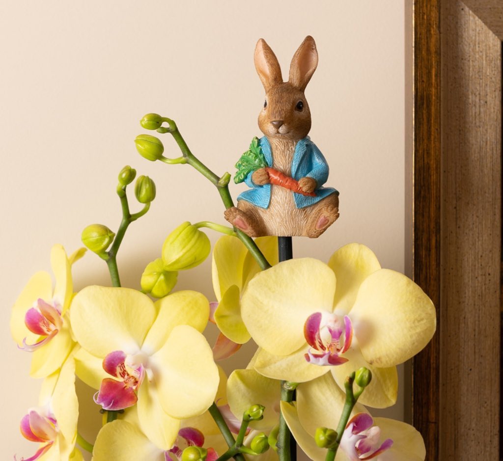 CaneCompanions's tweet photo. Just over a week to Easter 🐣, are you looking for something a little different this year? Take a look at our gorgeous range of Beatrix Potter gifts. #benjaminbunny #peterrabbit #eastergifts #beatrixpotter #canecompanions #potbuddies #pottyfeet #eastergifts https://t.co/v61z2iWcT0