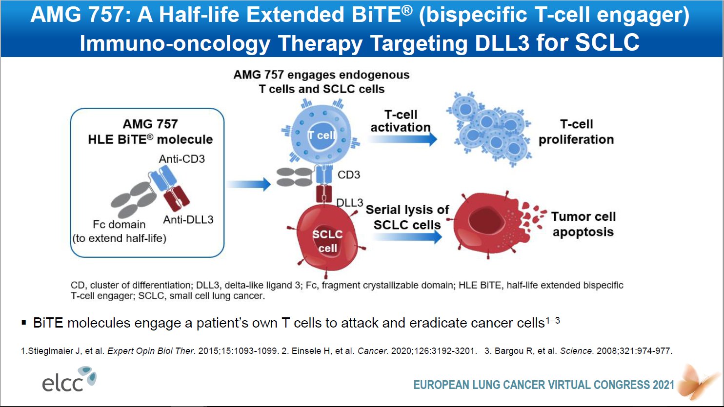 健康・医学 The Cell Human amyotrophic lateral sclerosis excitability phenotype
