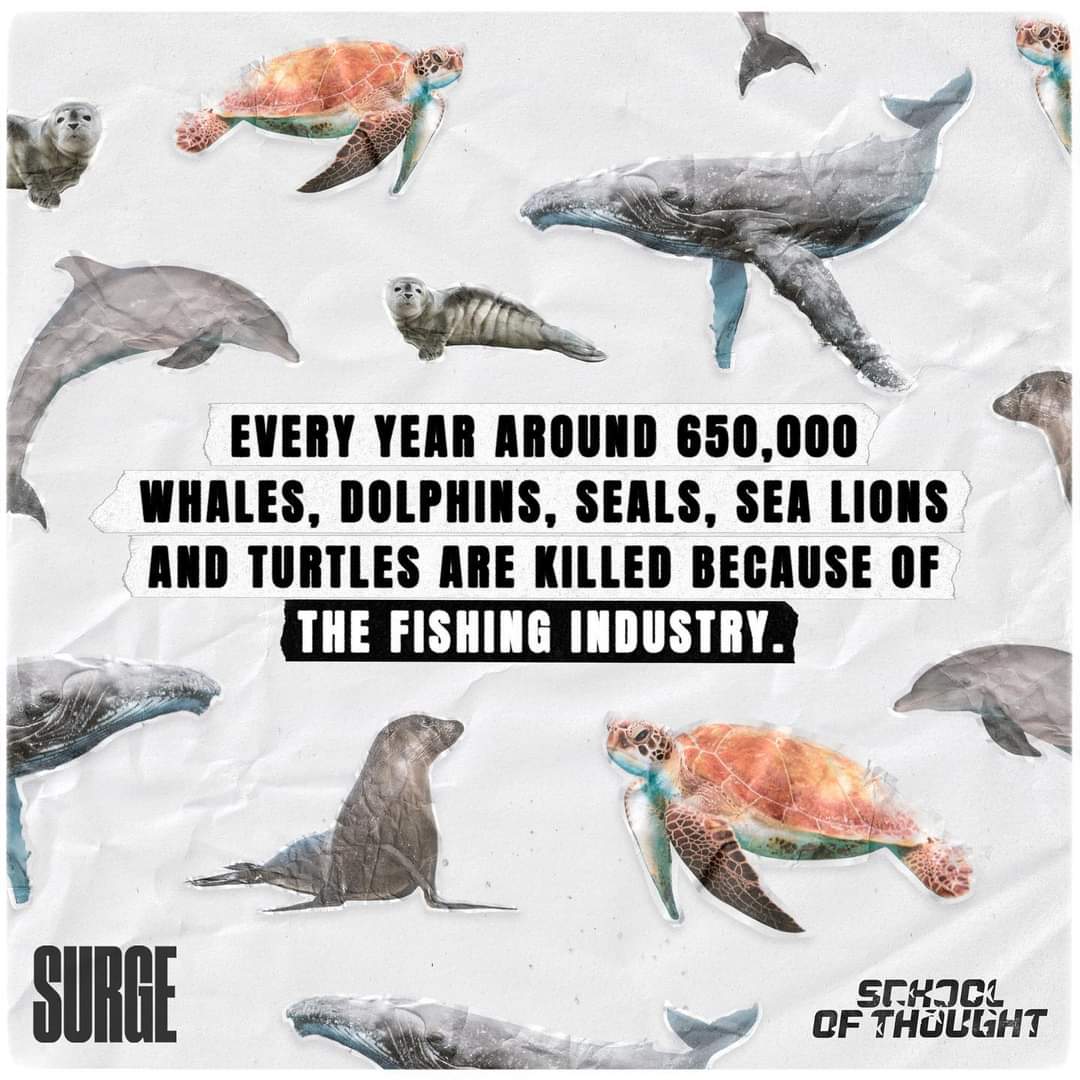 vegannutrition1's tweet photo. There's no nutrients in fish that we can't get from plants.

Destroying the planets oceans is not acceptable.

If the oceans die, all life on earth is doomed.

Scientist's estimate the oceans to be fishless by 2048.

Tick tock

Go Vegan ✌️

#ClimateAction #Seaspiracy #fishing https://t.co/W5Omi9BfMY