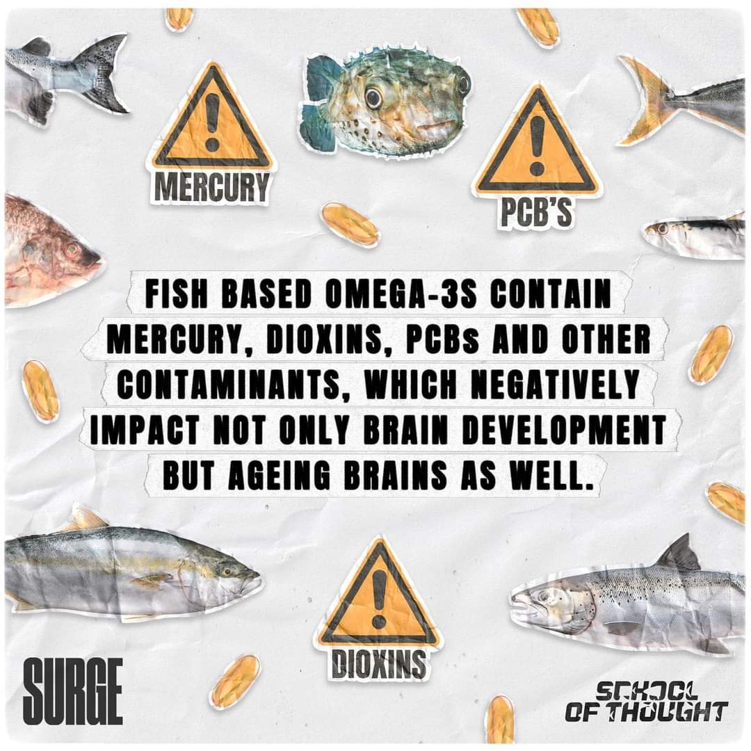 vegannutrition1's tweet photo. There's no nutrients in fish that we can't get from plants.

Destroying the planets oceans is not acceptable.

If the oceans die, all life on earth is doomed.

Scientist's estimate the oceans to be fishless by 2048.

Tick tock

Go Vegan ✌️

#ClimateAction #Seaspiracy #fishing https://t.co/W5Omi9BfMY