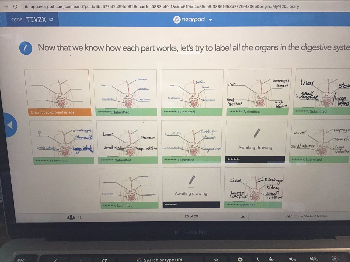 MichaelFiorent8's tweet photo. 1st YR Sci Students @hfcsrathcoole using @nearpod to revise the digestive system. Self paced and some deadly little AFLs embedded within. #edutwitter #edchattie #irishscienceteachers https://t.co/Oidl1Qm4dP