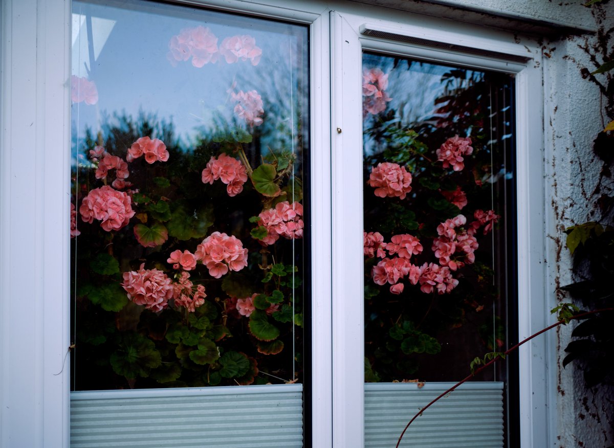 MaynCreative's tweet image. In the fifth instalment of our collaboration with FalWriting, photographer, Liz Tollemache and writer, Nadia Leigh Hewitson explore ‘home’ through poetry and photography. Go to falwriting.com/.../this-home-… to see more! #MaynCreativeXFalWriting