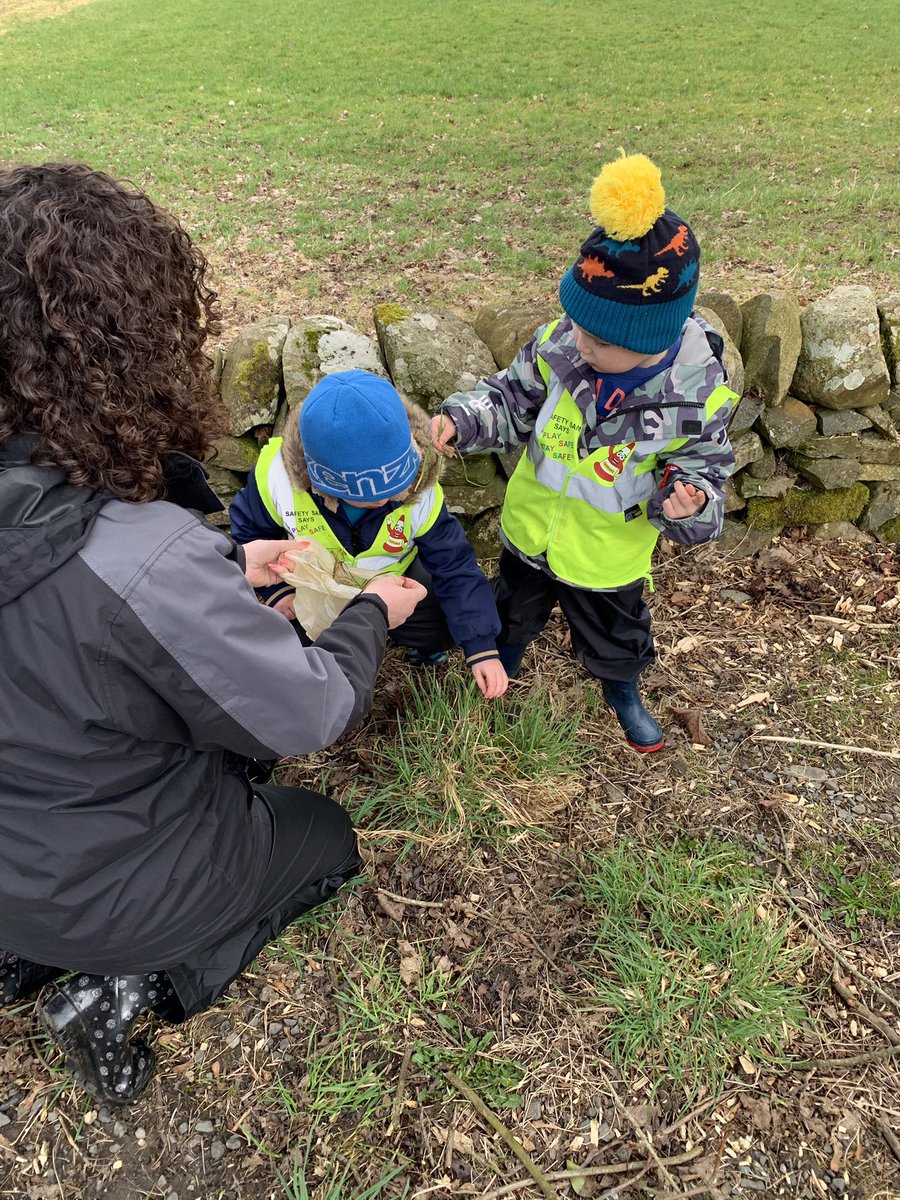 BarrhillPrimary's tweet photo. Grand opening today! Barrhill EYC Bird’s Nest Shop - all feathered friends welcome! We looked at different birds nests, decided which materials we’d need, went out collecting them then displayed them in our ‘shop’....with a few extra tasty treats for our visitors 🐦🐣🐤 https://t.co/xv8BLNVuUR