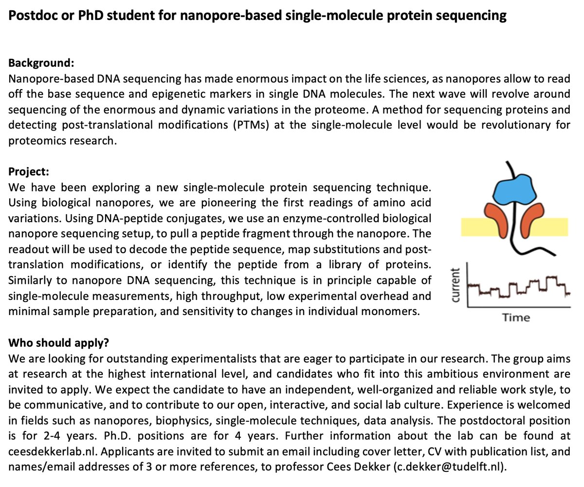 cees_dekker's tweet image. My lab has multiple OPENINGS for postdocs &amp;amp; PhD students -
for research on DNA biophysics, SMCs, NPC mimics, nanopore protein sequencing.

Talented and communicative candidates: please check this out and apply: ceesdekkerlab.nl/come-join-us/

RT = 👍😃😍🤓🙏