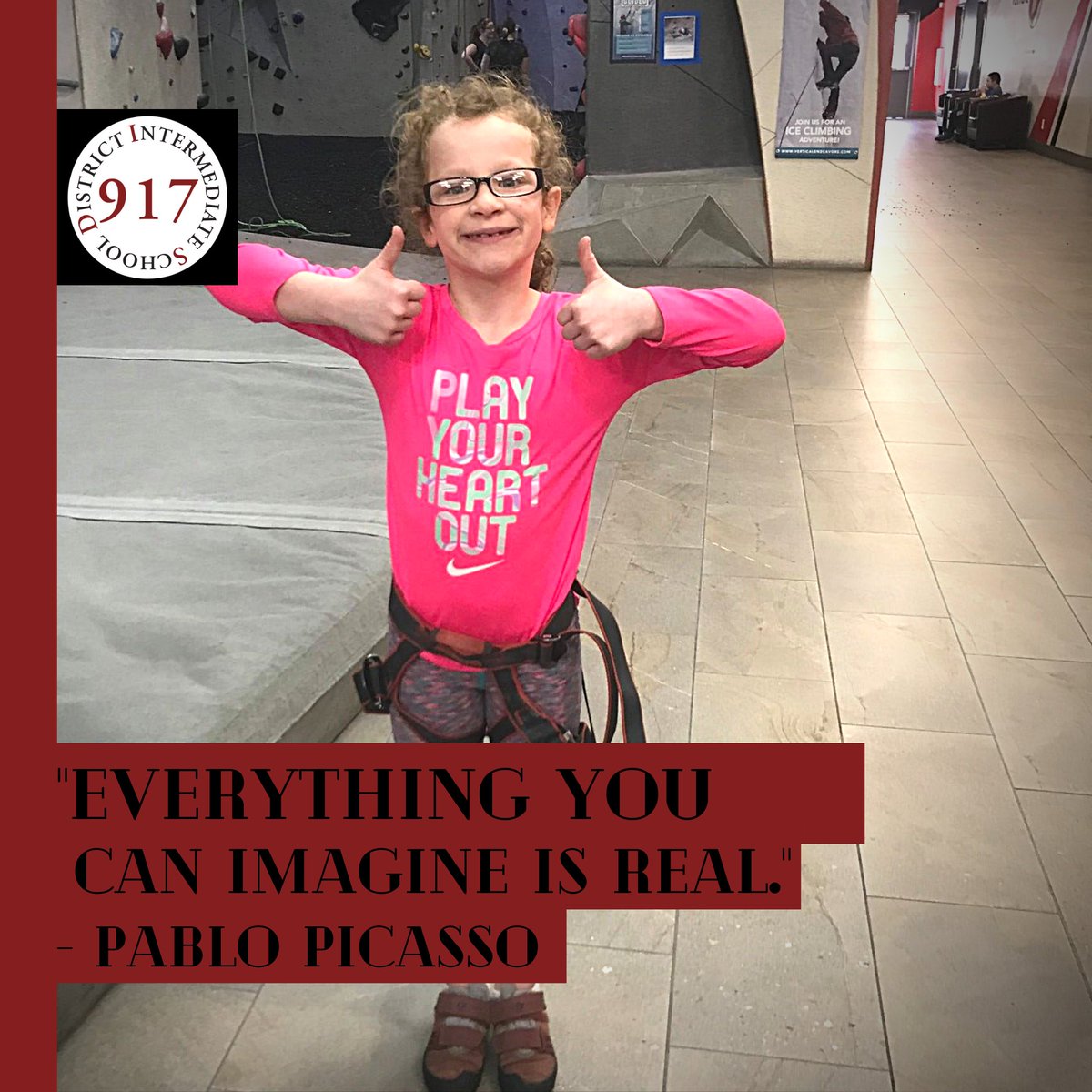 Intermediate School District 917 tweet media